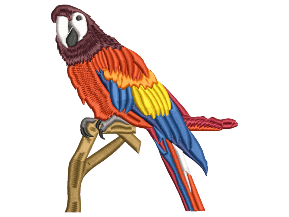 Scarlet Macaw Bird Embroidery: A Holiday Collection Review